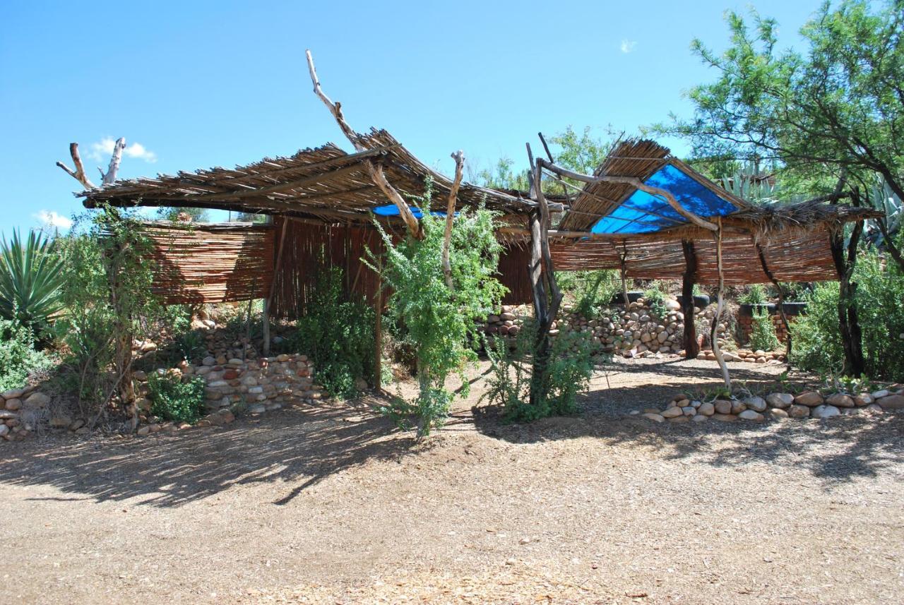 Amber Lagoon Backpackers Lodge Vleirivier Zewnętrze zdjęcie