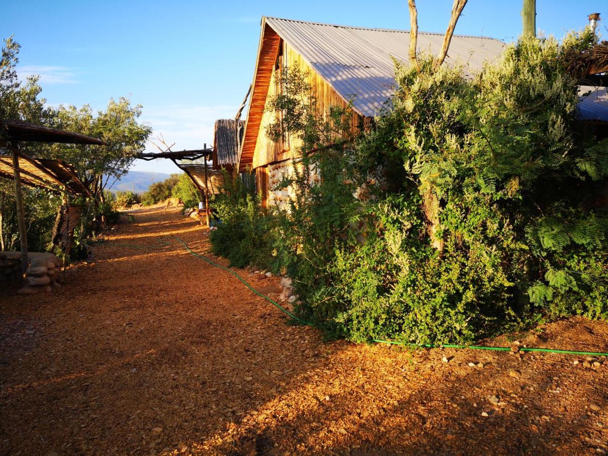 Amber Lagoon Backpackers Lodge Vleirivier Zewnętrze zdjęcie