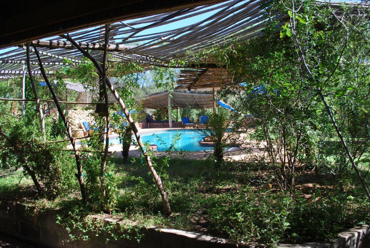 Amber Lagoon Backpackers Lodge Vleirivier Zewnętrze zdjęcie