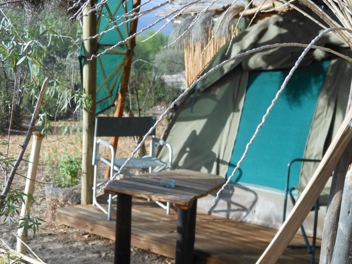 Amber Lagoon Backpackers Lodge Vleirivier Zewnętrze zdjęcie