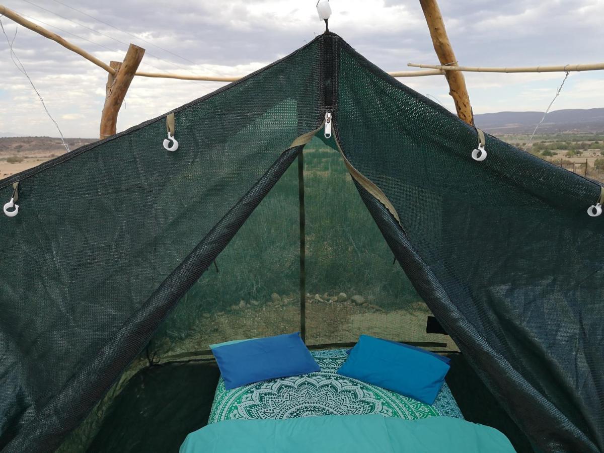 Amber Lagoon Backpackers Lodge Vleirivier Zewnętrze zdjęcie