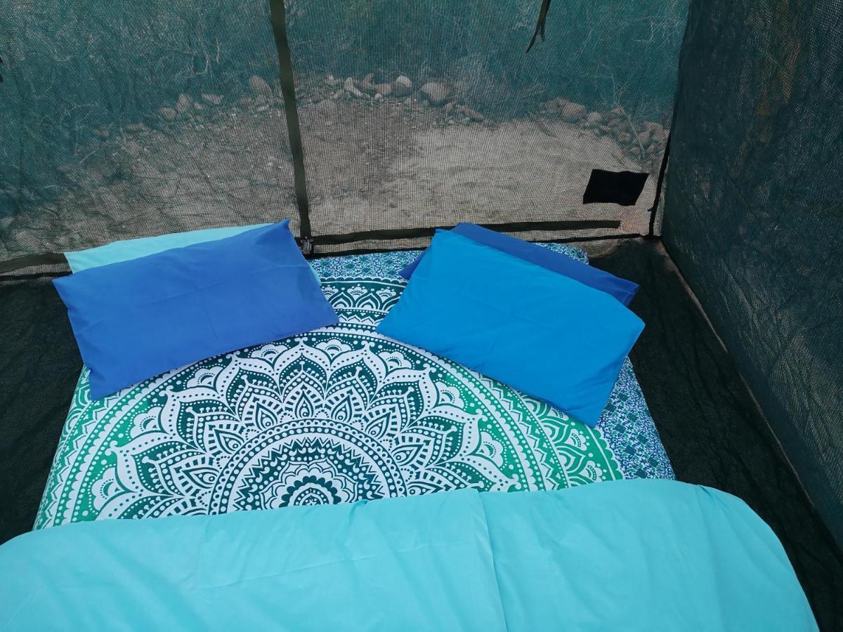 Amber Lagoon Backpackers Lodge Vleirivier Zewnętrze zdjęcie