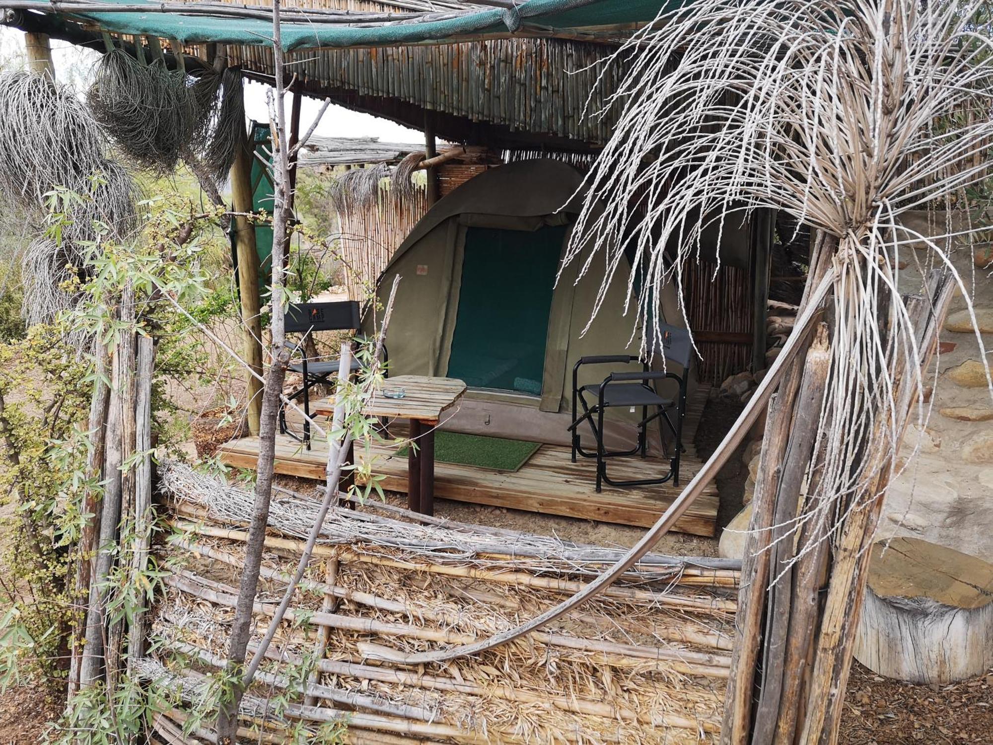 Amber Lagoon Backpackers Lodge Vleirivier Pokój zdjęcie